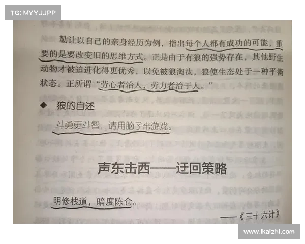 白门楼之战攻克指南:运筹帷幄,以智取胜 白门楼之战攻克指南:运筹帷幄,以智取胜